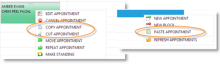 ApptCalendarCopyCutPaste