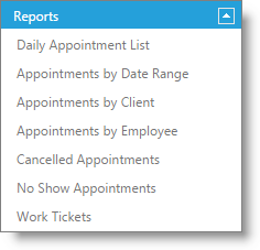 reports_appointment