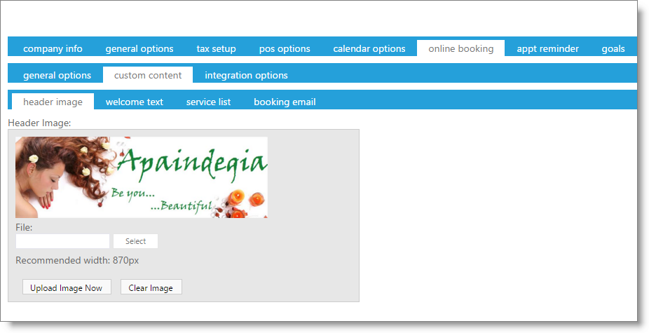companysettingsonlinebooking_custom_header